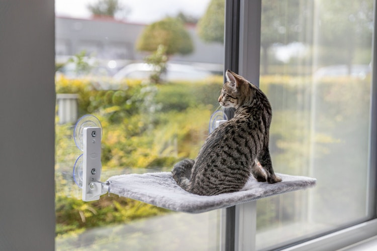 Fenster-Liegeplatz, Plüsch/Netzstoff, klappbar, 58 × 34 cm, weiß/grau