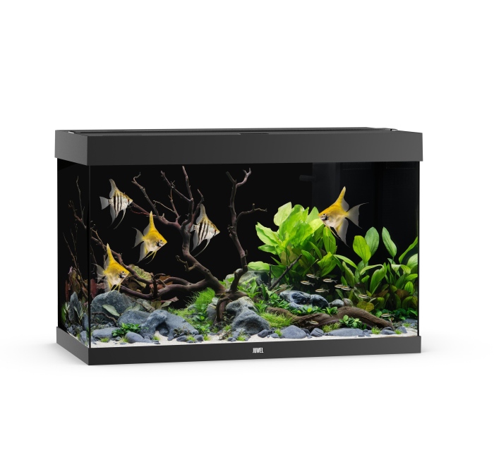 JUWEL Rio 290 Aquarium Set