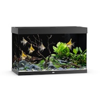 Rio 290 LED schwarz Aquarium
