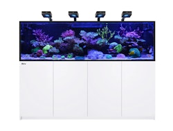 Red Sea REEFER™ S-1000 G3 Deluxe - Weiss (inklusive 4 X RL170S & Befestigungsarme)