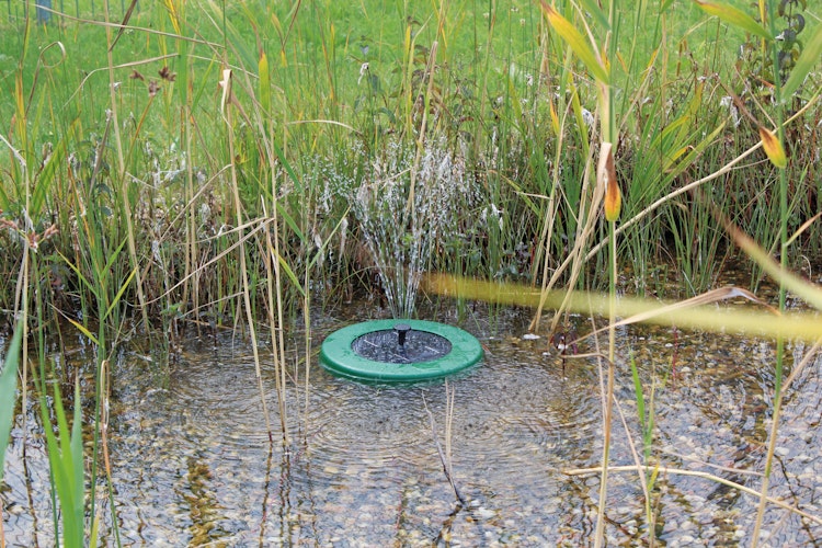 Pontec Solar-Wasserspielset PondoSolar Island 250 Control