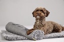 Vorschaubild WOLTERS Sweet Dreams Reisedecke salt/pepper