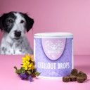 Vorschaubild Tierliebhaber Chillout Drops