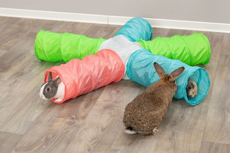 TRIXIE Spieltunnel 6 Ausgänge, erweiterbar, Zwergkan., 5 × ø 18 cm/47cm, diverse