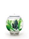 Vorschaubild biOrb Decor Set 30L Stone Garden (48445)