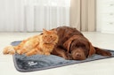 Vorschaubild Allpets Kuscheldecke grau für Hunde