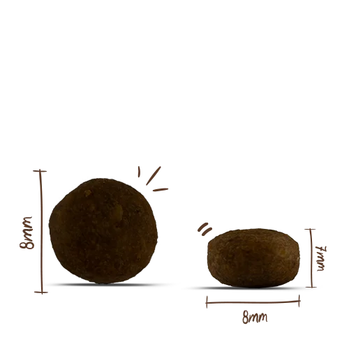 Bosch MENUE Mini Junior mit Tierwohl-Huhn 1kg 