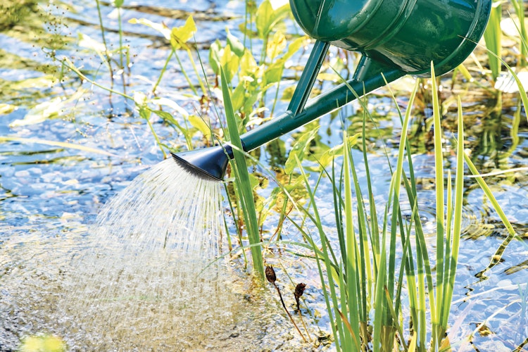 Oase AquaActiv Teichpflegemittel BioKick Care