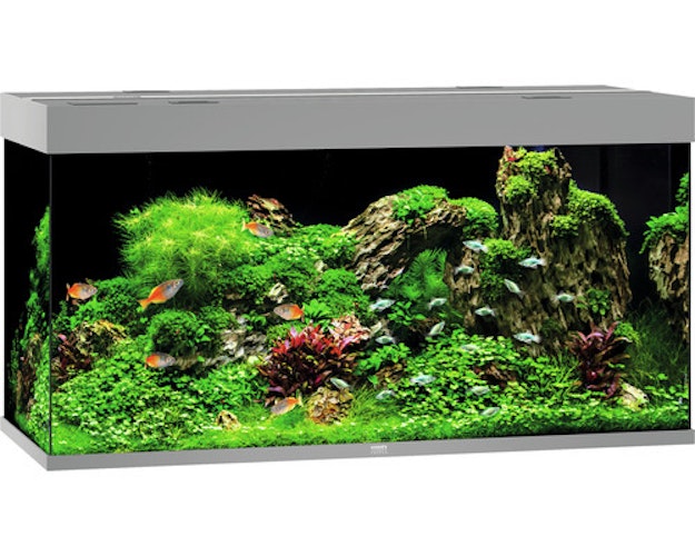 Rio 350 LED grau Aquarium
