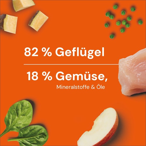 NUTRIMENT Barf in One Geflügel