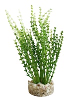 Sydeco Aqua Nano Moss 8 Zentimeter Aquariendekoration