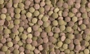 Vorschaubild Tetra Tablets TabiMin XL