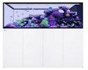 Vorschaubild Red Sea REEFER™ Peninsula S-950 G2+ Complete System