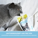 Vorschaubild GimCat Milch Katzensnack
