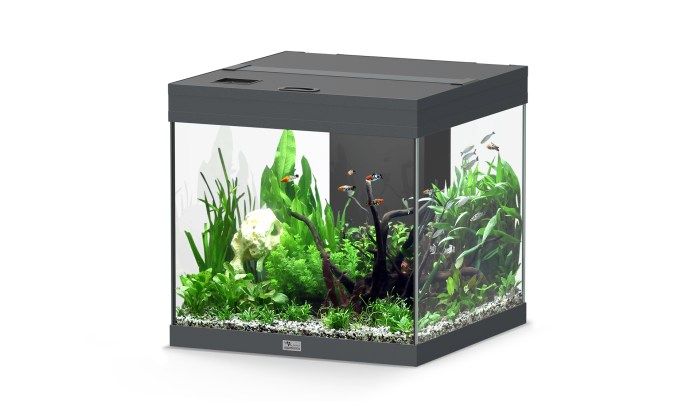 Aquatlantis Aqua Tower 120 anthrazit Aquarium