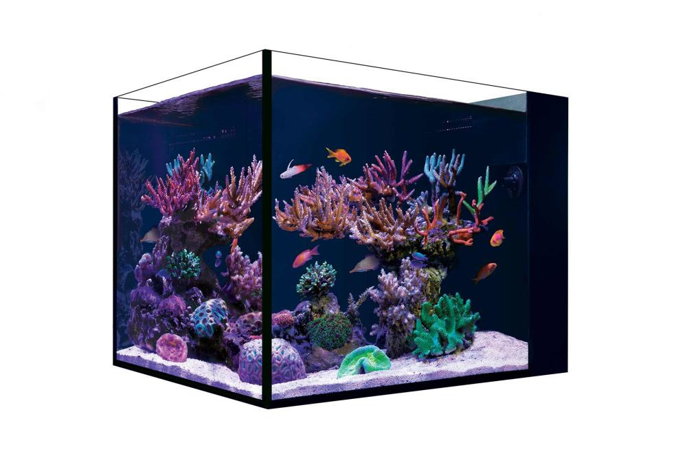 Red Sea Desktop Aquarium Set