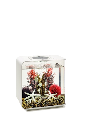 biOrb Decor Set 15L Red Forest (48442)