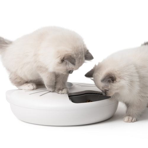 catit Pixi Smart 6-Meal Katzenfutterautomat
