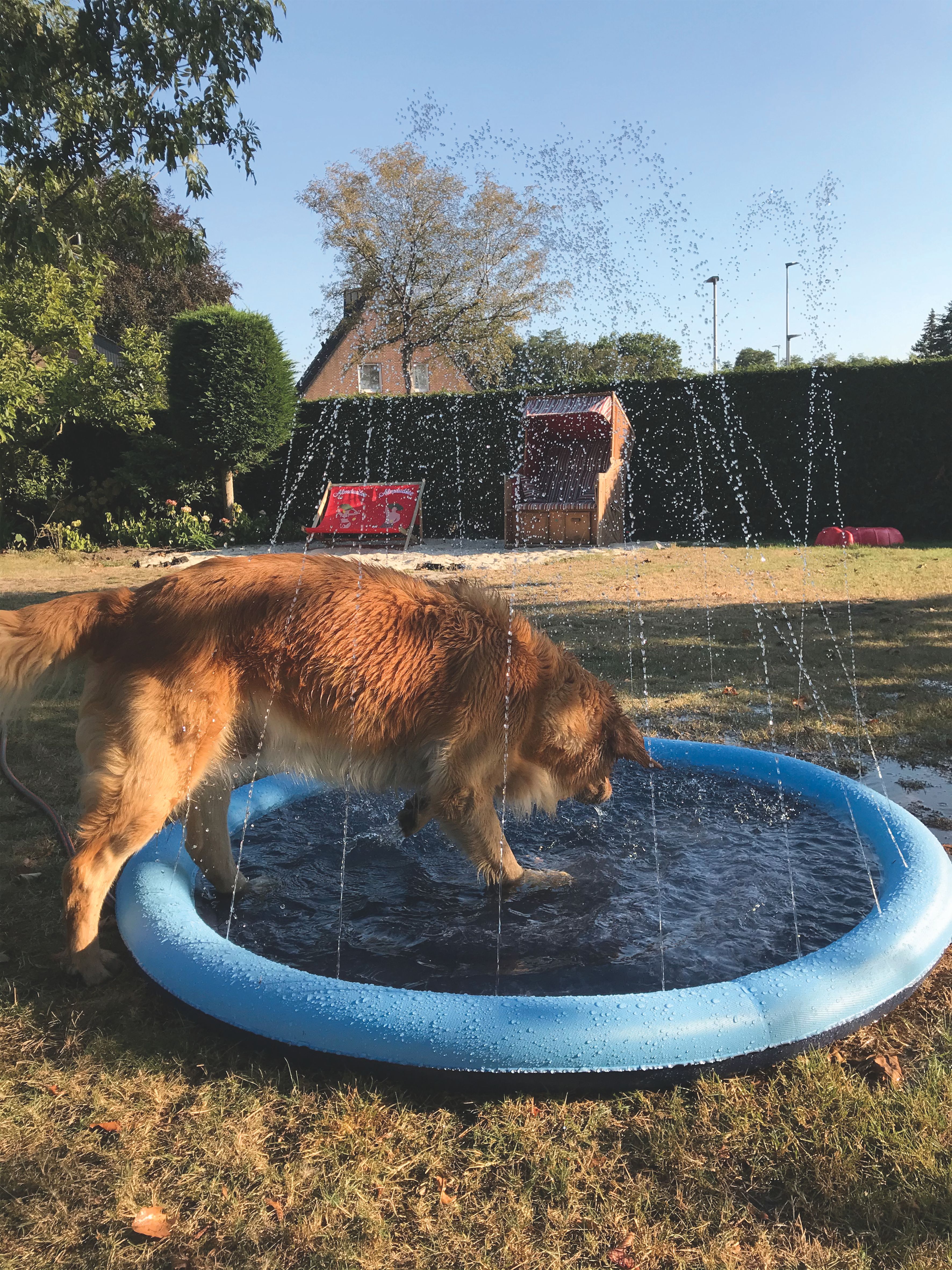 NOBBY Splash Pool Ø 150 cm
