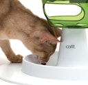 Vorschaubild catit Senses 2.0 Futterbaum Katzenspielzeug