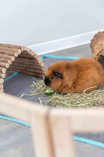 TRIXIE Indoor Freilaufgehege, Meerschweinchen, 4 Elemente à 60 × 30 cm