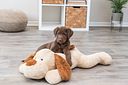 Vorschaubild TRIXIE Ankuschelhund Benny, Plüsch, 75 cm, beige/braun