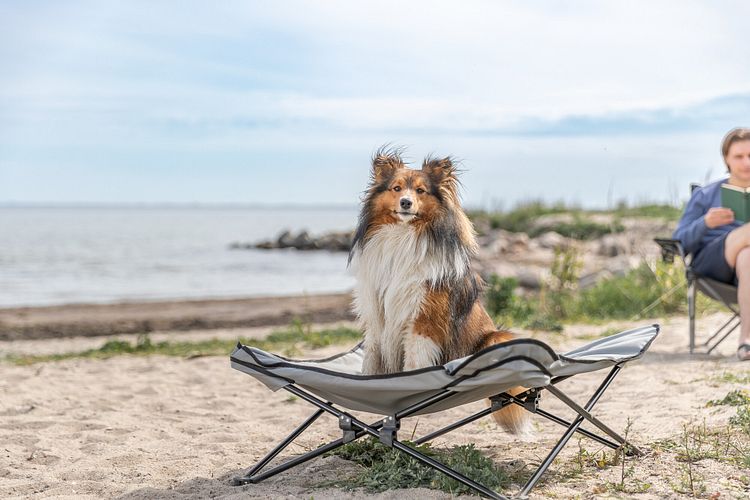 TRIXIE Camping-Bett für Hunde, beige/schwarz