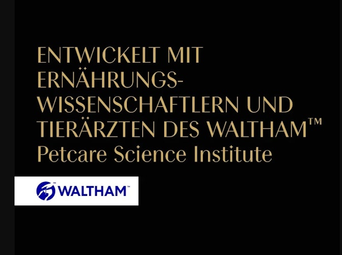 Sheba Seasons Collection wechselnde Sorten 22x85 g