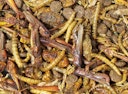 Vorschaubild JR FARM Igel-Schmaus Igelfutter