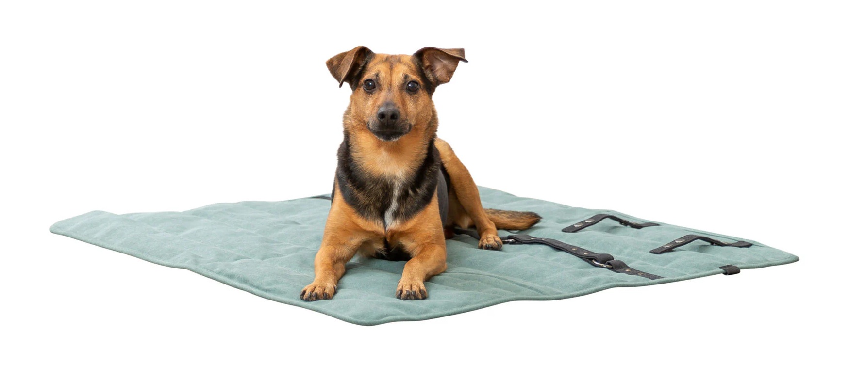 TRIXIE Reisedecke CityStyle, eckig, 80 × 80 cm, salbei