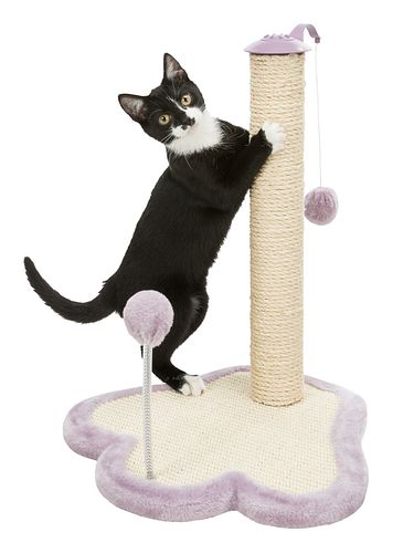 TRIXIE Kratzpfote mit Stamm, 50 cm, natur/flieder
