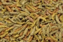 Vorschaubild JR FARM Grainless Health Complete Zwergkaninchen Kleintierfutter