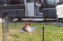 Vorschaubild TRIXIE Mobiler Hundezaun, 15 m, schwarz