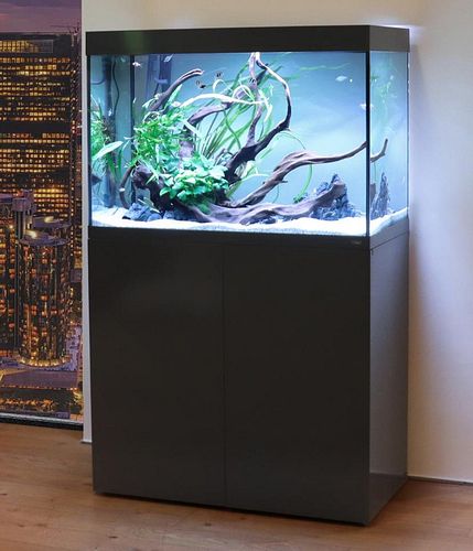 Amtra Alux Aquarienkombination