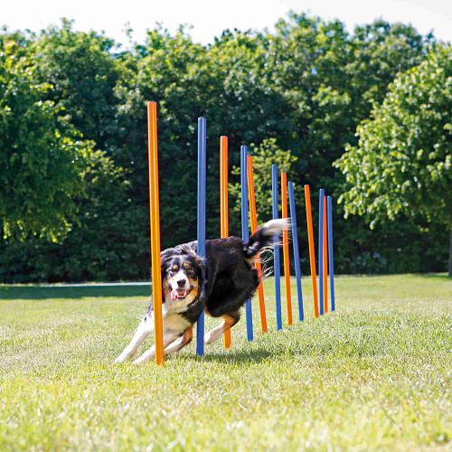 TRIXIE Fun Agility Slalom, Kunststoff, ø 3 × 115 cm, 12 St., blau/orange