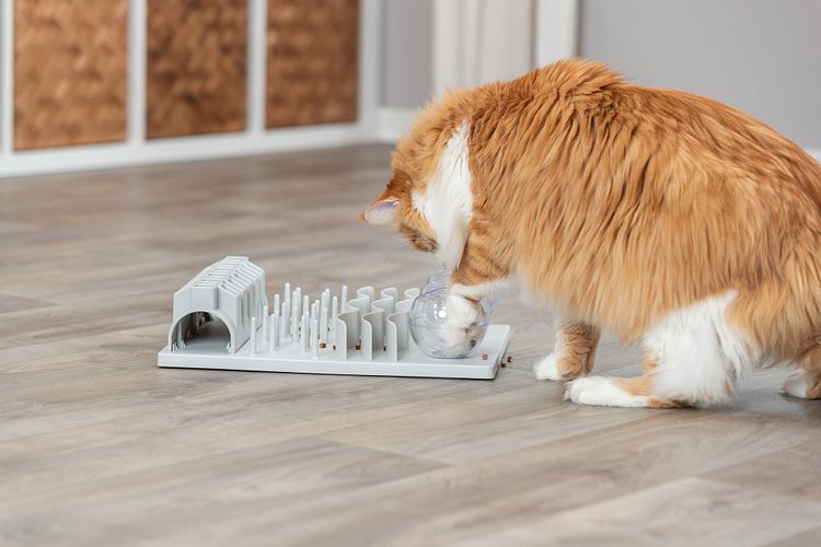 TRIXIE Cat Activity Fun Board XXL, 30 × 40 cm