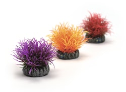 biOrb Gewächsball Set 3 bunt (46061)