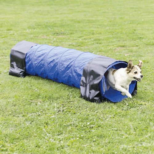 TRIXIE Fun Agility Mini Tunnel, ø 40 cm/2 m, blau