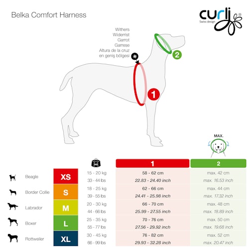 curli Belka Comfort Geschirr schwarz Hundegeschirr