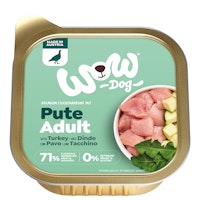 Pute mit Zucchini Varianten Bild