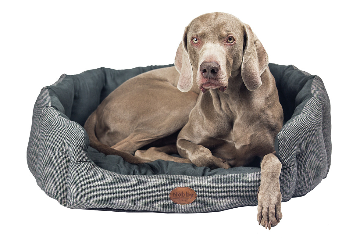 Nobby Komfortbett JOSI 86 x 70 x 24cm grau