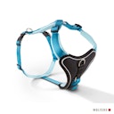 Vorschaubild Wolters Professional Comfort aqua/azur Geschirr