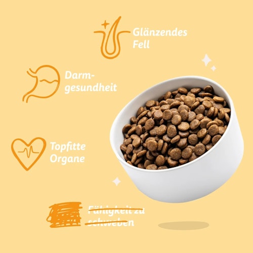 Edgard&Cooper Crispy Karotte und Zucchini Hundetrockenfutter