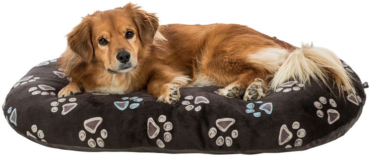 TRIXIE Kissen Jimmy Soft, oval, taupe