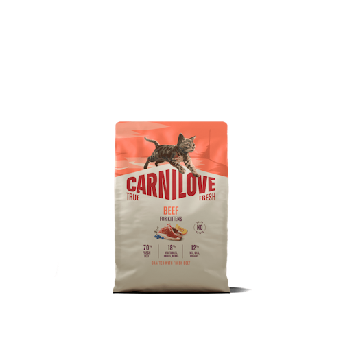 Carnilove True Fresh Kitten Rind Katzentrockenfutter