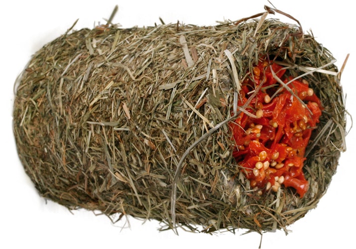 JR FARM Nager Heu-Schlemmertunnel Kleintiersnack