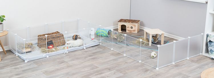 TRIXIE Indoor Freilaufgehege, Metall/Kunststoff, 140 × 35 × 70 cm, weiß