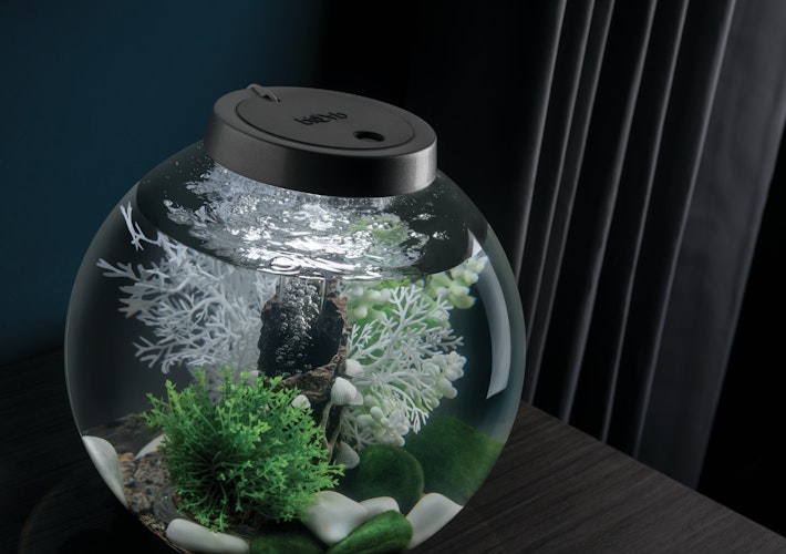 biOrb Decor Set Fairytales