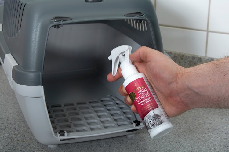 Felisept Home Comfort Beruhigungsspray 100m