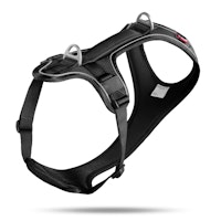 curli Belka Comfort Geschirr schwarz Hundegeschirr